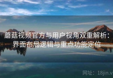 蘑菇视频官方与用户视角双重解析：界面布局逻辑与重点功能定位