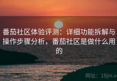 番茄社区体验评测：详细功能拆解与操作步骤分析，番茄社区是做什么用的
