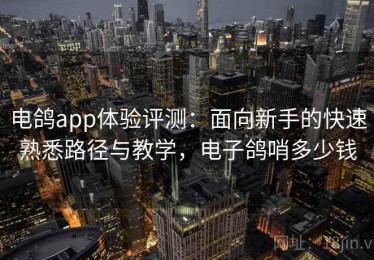 电鸽app体验评测：面向新手的快速熟悉路径与教学，电子鸽哨多少钱