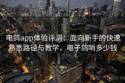 电鸽app体验评测：面向新手的快速熟悉路径与教学，电子鸽哨多少钱