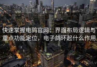 快速掌握电鸽官网：界面布局逻辑与重点功能定位，电子鸽环起什么作用