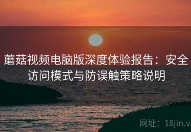 蘑菇视频电脑版深度体验报告：安全访问模式与防误触策略说明