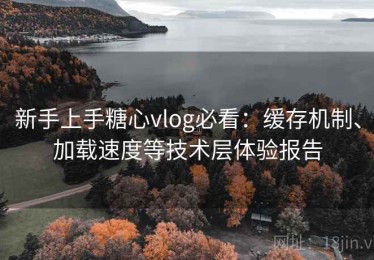新手上手糖心vlog必看：缓存机制、加载速度等技术层体验报告