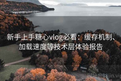 新手上手糖心vlog必看：缓存机制、加载速度等技术层体验报告