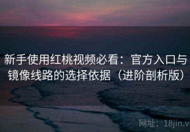 新手使用红桃视频必看：官方入口与镜像线路的选择依据（进阶剖析版）