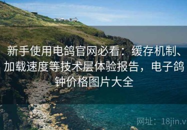 新手使用电鸽官网必看：缓存机制、加载速度等技术层体验报告，电子鸽钟价格图片大全