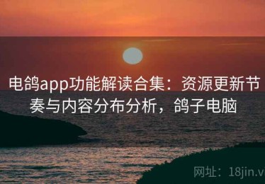 电鸽app功能解读合集：资源更新节奏与内容分布分析，鸽子电脑