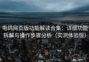 电鸽网页版功能解读合集：详细功能拆解与操作步骤分析（实测体验版）