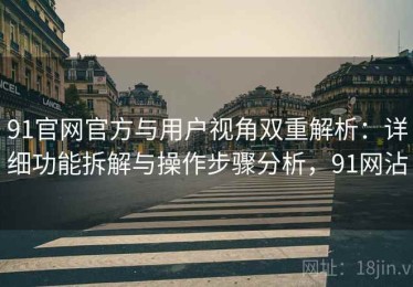 91官网官方与用户视角双重解析：详细功能拆解与操作步骤分析，91网沾