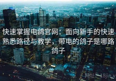 快速掌握电鸽官网：面向新手的快速熟悉路径与教学，带电的鸽子是哪路鸽子