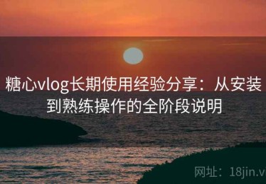 糖心vlog长期使用经验分享：从安装到熟练操作的全阶段说明