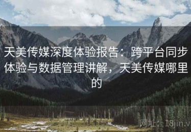天美传媒深度体验报告：跨平台同步体验与数据管理讲解，天美传媒哪里的