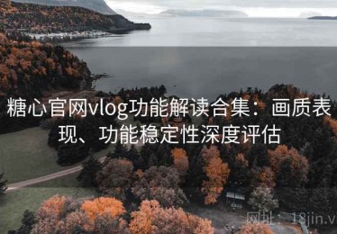 糖心官网vlog功能解读合集：画质表现、功能稳定性深度评估