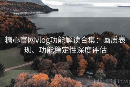糖心官网vlog功能解读合集：画质表现、功能稳定性深度评估