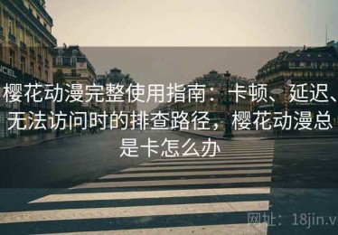 樱花动漫完整使用指南：卡顿、延迟、无法访问时的排查路径，樱花动漫总是卡怎么办