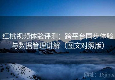 红桃视频体验评测：跨平台同步体验与数据管理讲解（图文对照版）