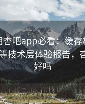 新手使用杏吧app必看：缓存机制、加载速度等技术层体验报告，杏吧app好吗