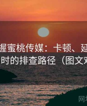快速掌握蜜桃传媒：卡顿、延迟、无法访问时的排查路径（图文对照版）