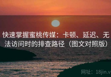 快速掌握蜜桃传媒：卡顿、延迟、无法访问时的排查路径（图文对照版）