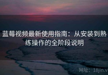 蓝莓视频最新使用指南：从安装到熟练操作的全阶段说明