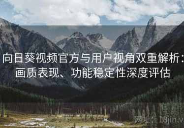 向日葵视频官方与用户视角双重解析：画质表现、功能稳定性深度评估