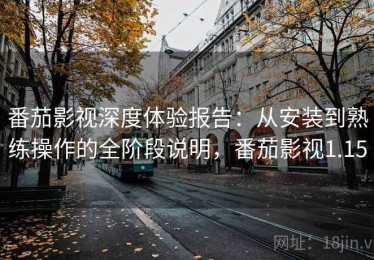 番茄影视深度体验报告：从安装到熟练操作的全阶段说明，番茄影视1.15