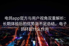 电鸽app官方与用户视角双重解析：长期体验后的优势与不足总结，电子鸽环起什么作用