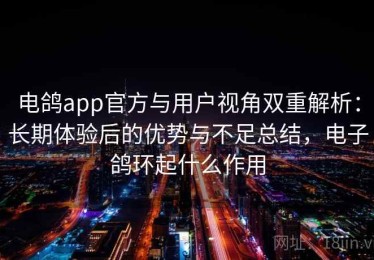 电鸽app官方与用户视角双重解析：长期体验后的优势与不足总结，电子鸽环起什么作用
