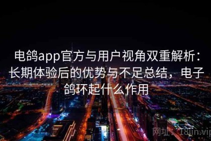 电鸽app官方与用户视角双重解析：长期体验后的优势与不足总结，电子鸽环起什么作用