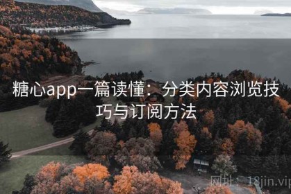 糖心app一篇读懂：分类内容浏览技巧与订阅方法