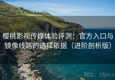 樱桃影视传媒体验评测：官方入口与镜像线路的选择依据（进阶剖析版）