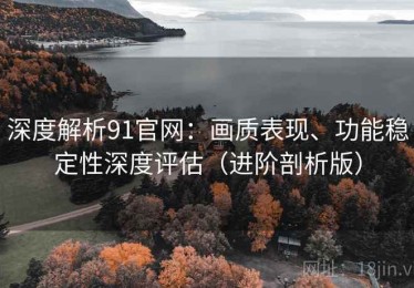 深度解析91官网：画质表现、功能稳定性深度评估（进阶剖析版）