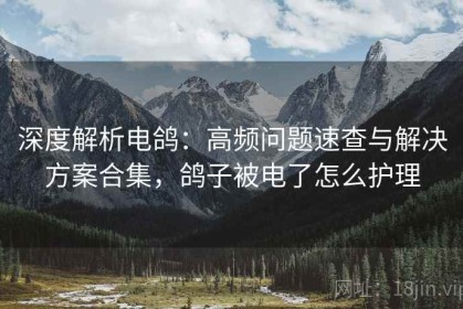 深度解析电鸽：高频问题速查与解决方案合集，鸽子被电了怎么护理