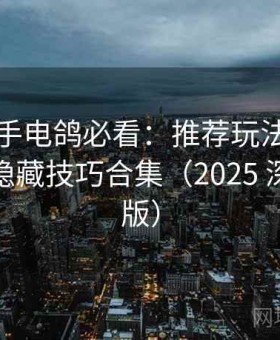 新手上手电鸽必看：推荐玩法、冷门功能与隐藏技巧合集（2025 深度修订版）