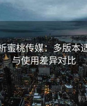 深度解析蜜桃传媒：多版本适配情况与使用差异对比