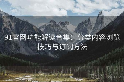 91官网功能解读合集：分类内容浏览技巧与订阅方法