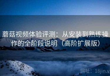 蘑菇视频体验评测：从安装到熟练操作的全阶段说明（高阶扩展版）