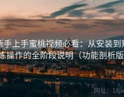 新手上手蜜桃视频必看：从安装到熟练操作的全阶段说明（功能剖析版）