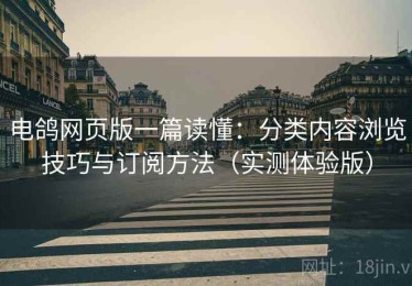 电鸽网页版一篇读懂：分类内容浏览技巧与订阅方法（实测体验版）