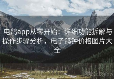 电鸽app从零开始：详细功能拆解与操作步骤分析，电子鸽钟价格图片大全