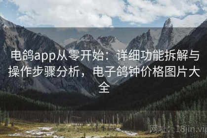 电鸽app从零开始：详细功能拆解与操作步骤分析，电子鸽钟价格图片大全