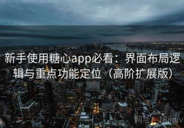新手使用糖心app必看：界面布局逻辑与重点功能定位（高阶扩展版）