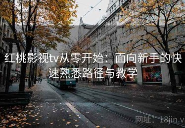 红桃影视tv从零开始：面向新手的快速熟悉路径与教学