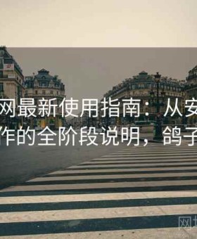 电鸽官网最新使用指南：从安装到熟练操作的全阶段说明，鸽子电脑