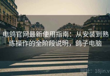 电鸽官网最新使用指南：从安装到熟练操作的全阶段说明，鸽子电脑
