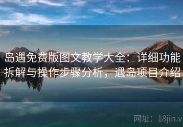 岛遇免费版图文教学大全：详细功能拆解与操作步骤分析，遇岛项目介绍