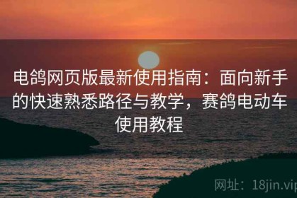 电鸽网页版最新使用指南：面向新手的快速熟悉路径与教学，赛鸽电动车使用教程