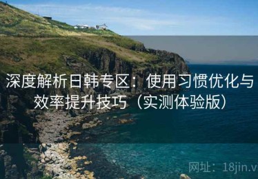 深度解析日韩专区：使用习惯优化与效率提升技巧（实测体验版）