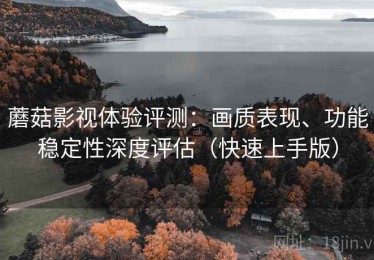 蘑菇影视体验评测：画质表现、功能稳定性深度评估（快速上手版）
