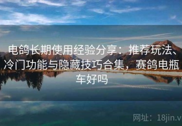 电鸽长期使用经验分享：推荐玩法、冷门功能与隐藏技巧合集，赛鸽电瓶车好吗